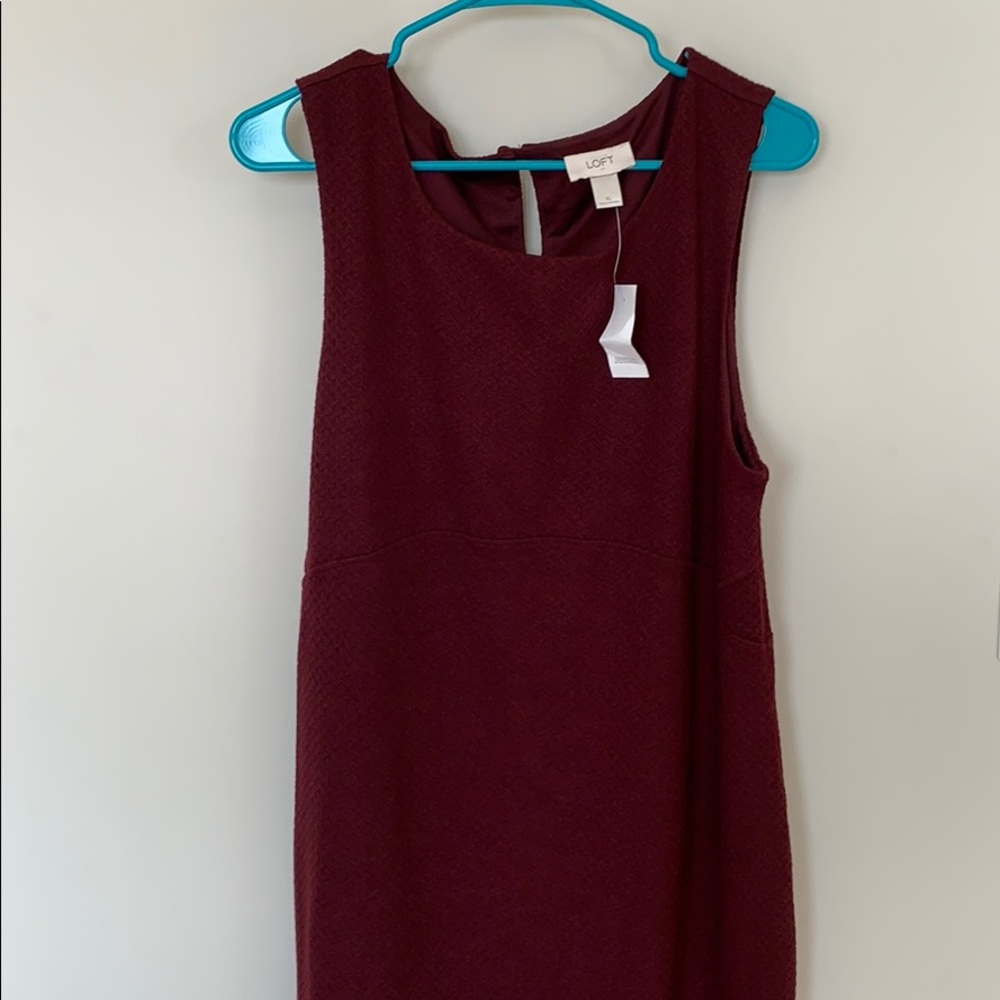 NWT Loft Dress